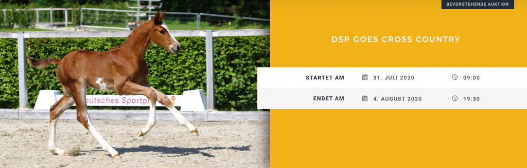 Promotion - DSP goes CROSS COUNTRY - ONLINE Fohlenauktion am 4. August 2020