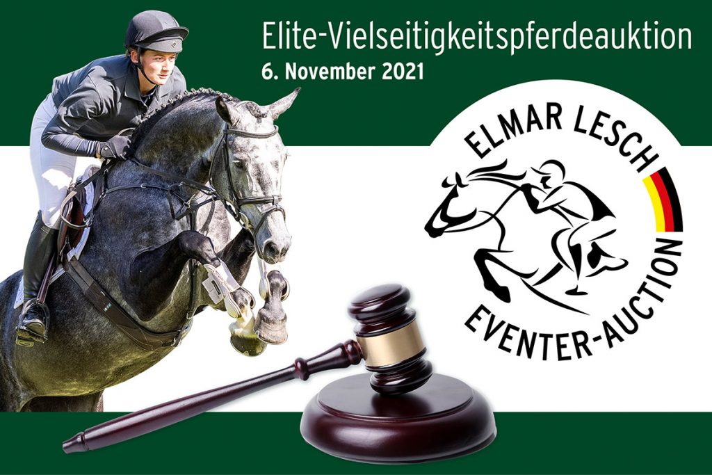 Elmar Lesch Eventer-Auction //  Die Kollektion ist online!