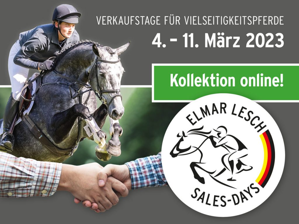 11 qualitätvolle Vielseitigkeitspferde und ein Pony der Extraklasse:  Die Kollektion zu den Verkaufstagen von Elmar Lesch ist online!