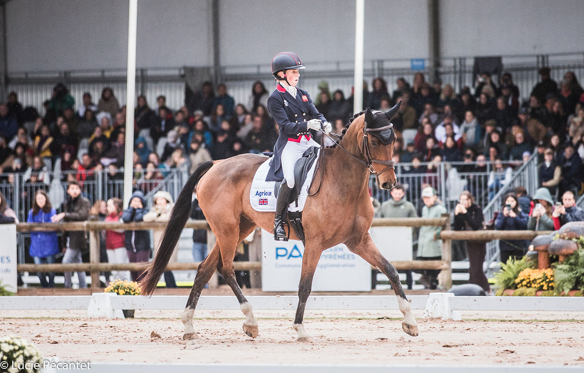Les 5 Étoiles de Pau Dressur Alle drei Richter sehen Ros Canter vorne