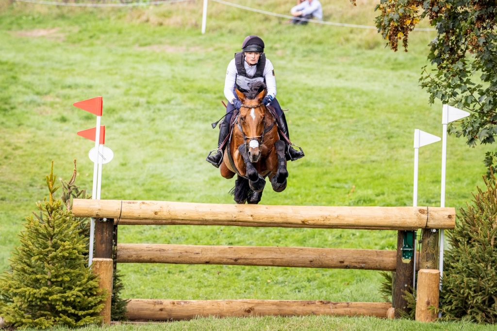 Hannoveraner-Champions werden mit dem Namenszusatz ,,FRH