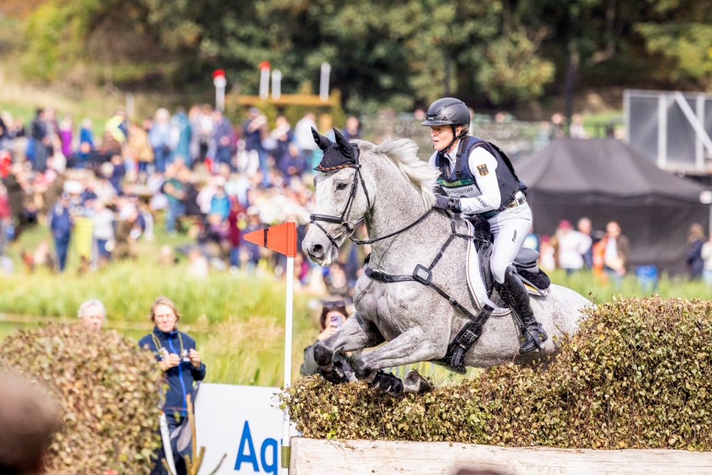 Olympia und Perspektivkader Vielseitigkeit 2026 aufgestellt