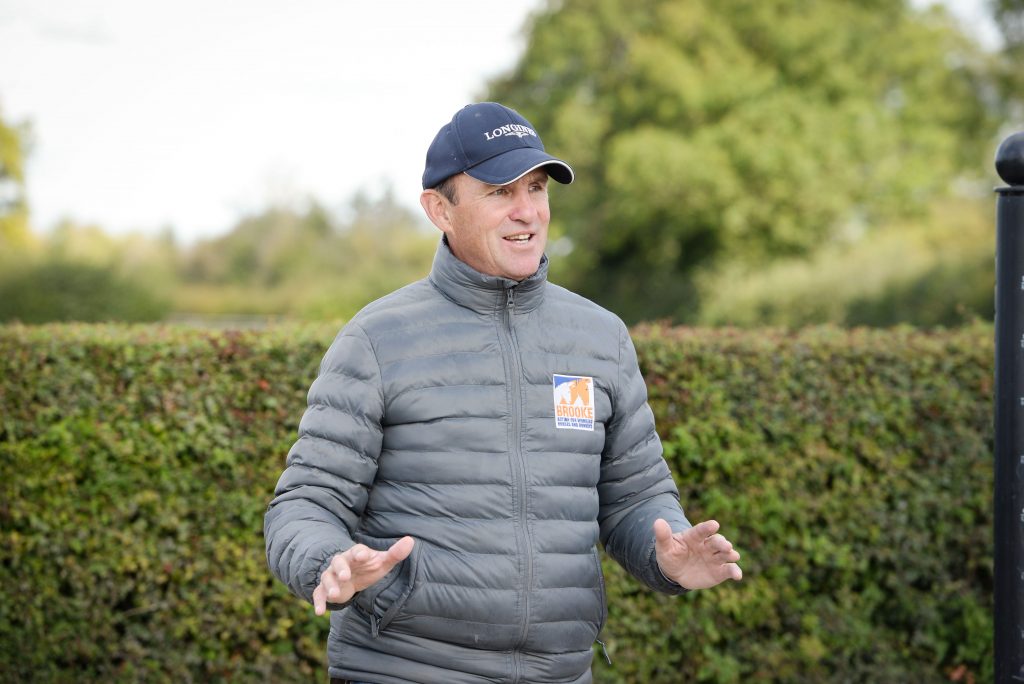 Trainingsangebote in Peelbergen / Grandorse 2026