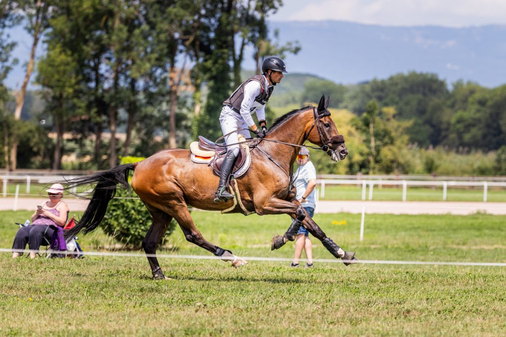 Letzte WM-Sichtung Avenches (SUI) CCIO4*-NC-S: Doppelerfolg für Christoph Wahler - Deutsches Team auf Platz 2