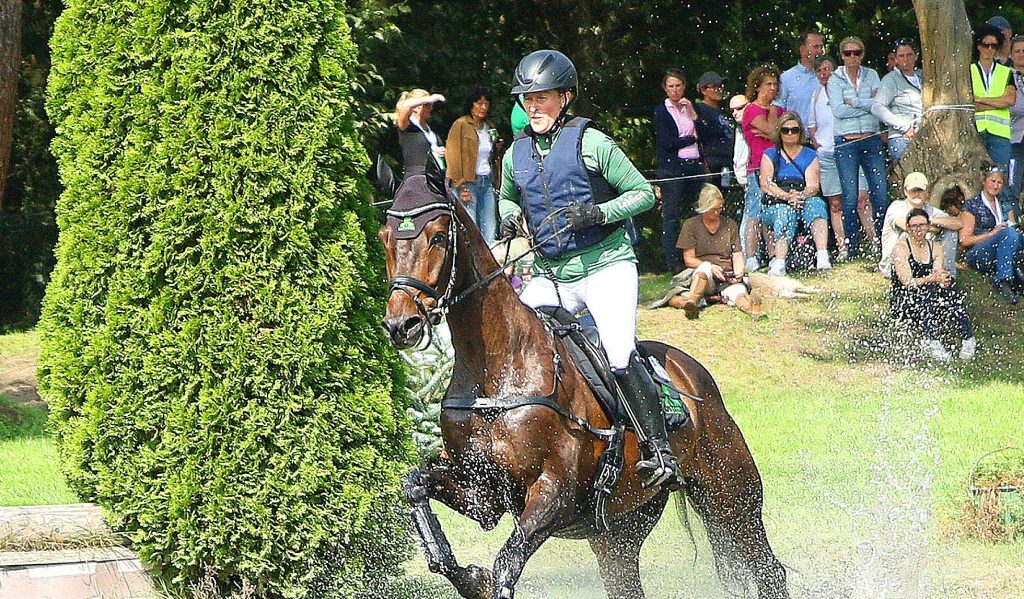 Al Shira‘aa Bundeschampionate: Chesalico gewinnt Titel der fünfjährigen Vielseitigkeitspferde