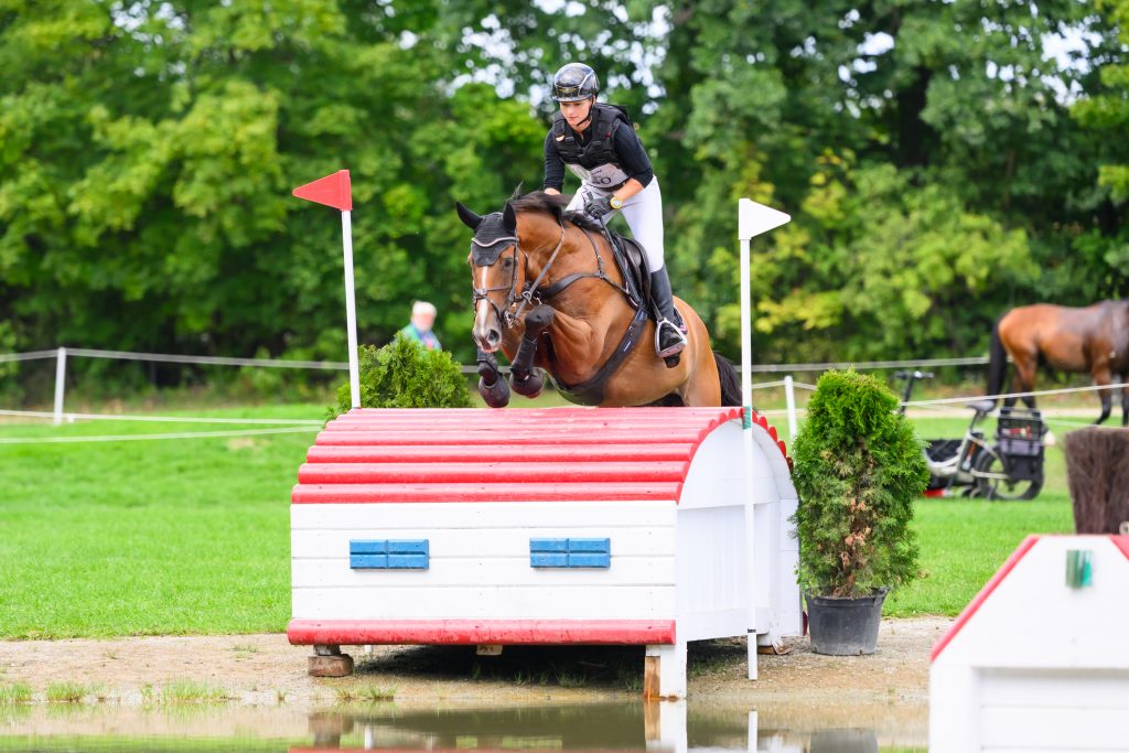 Strzegom Autumn Show (POL): Julia Krajewski siegt doppelt